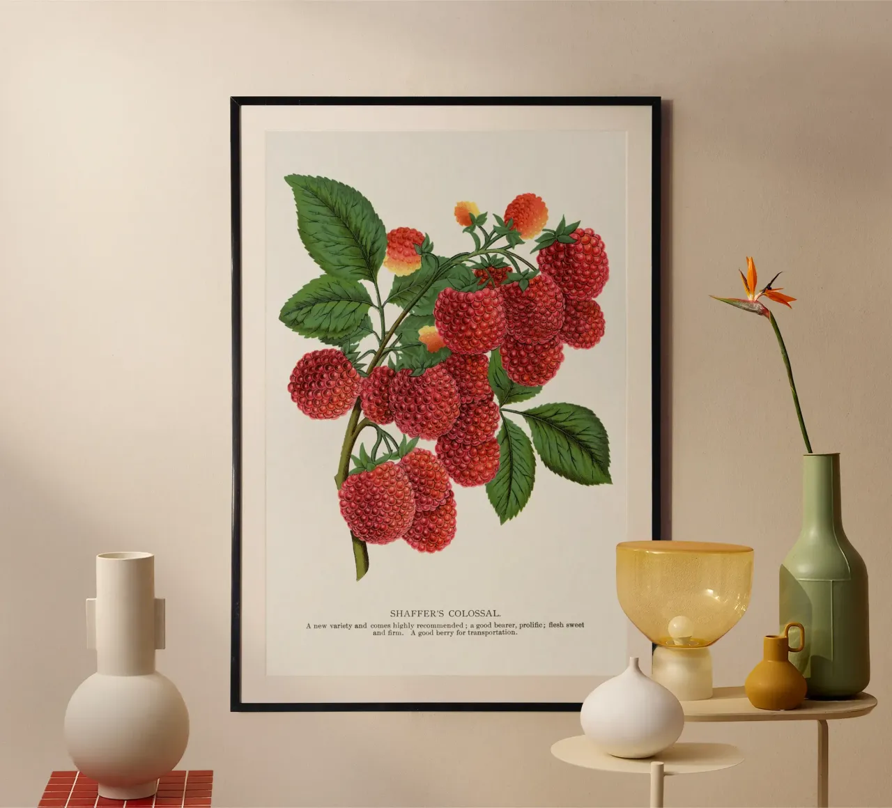 Shaffer's Colossal poster da vintageshop