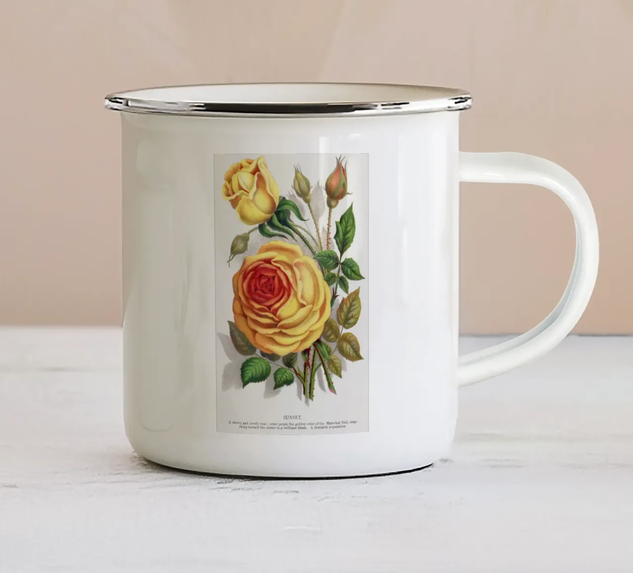 Botanical Specimen tazza in smalto da vintageshop