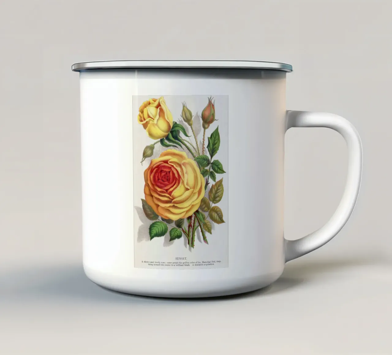 Botanical Specimen tazza in smalto da vintageshop