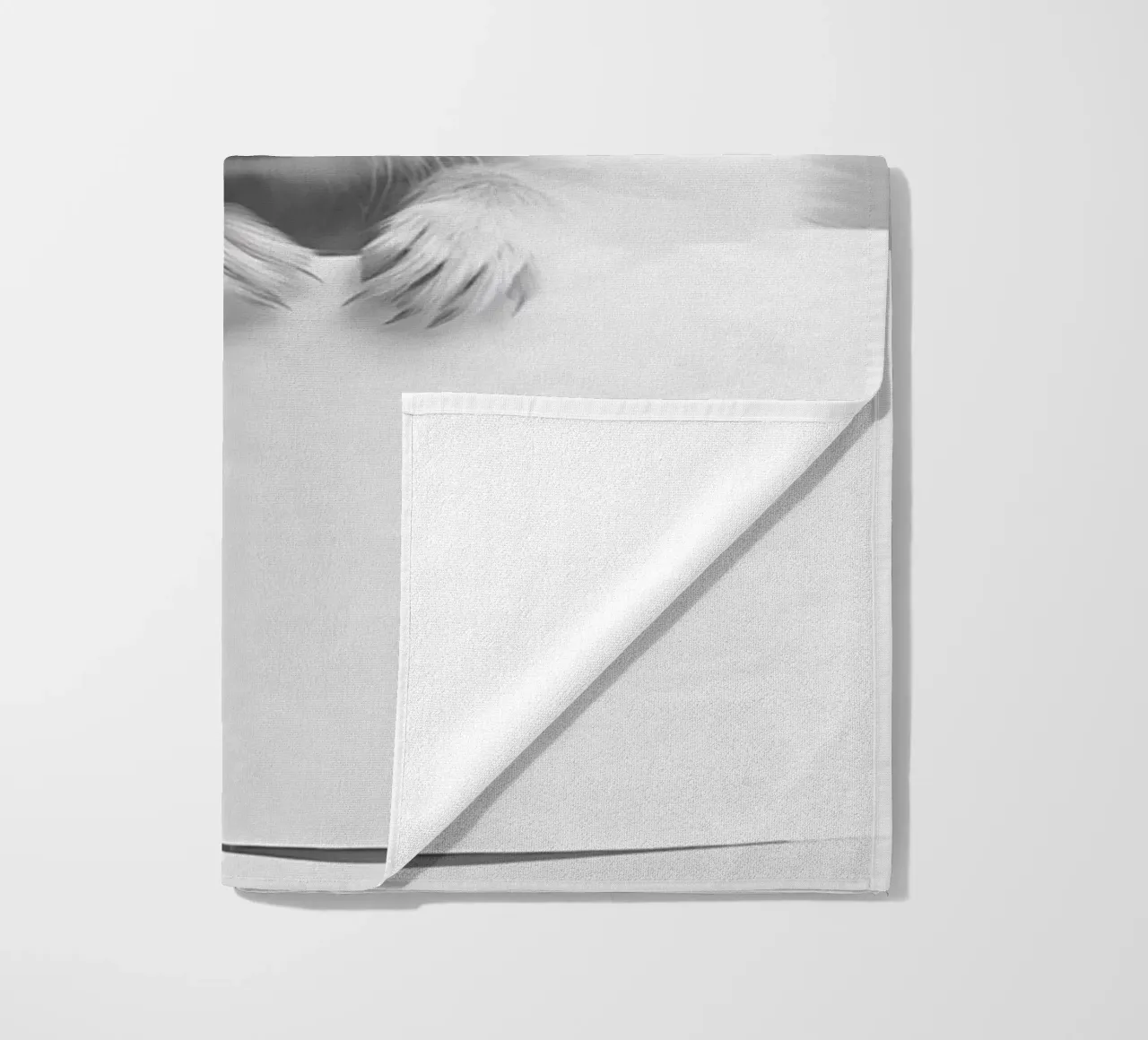 Criceto telo mare da animals_studio