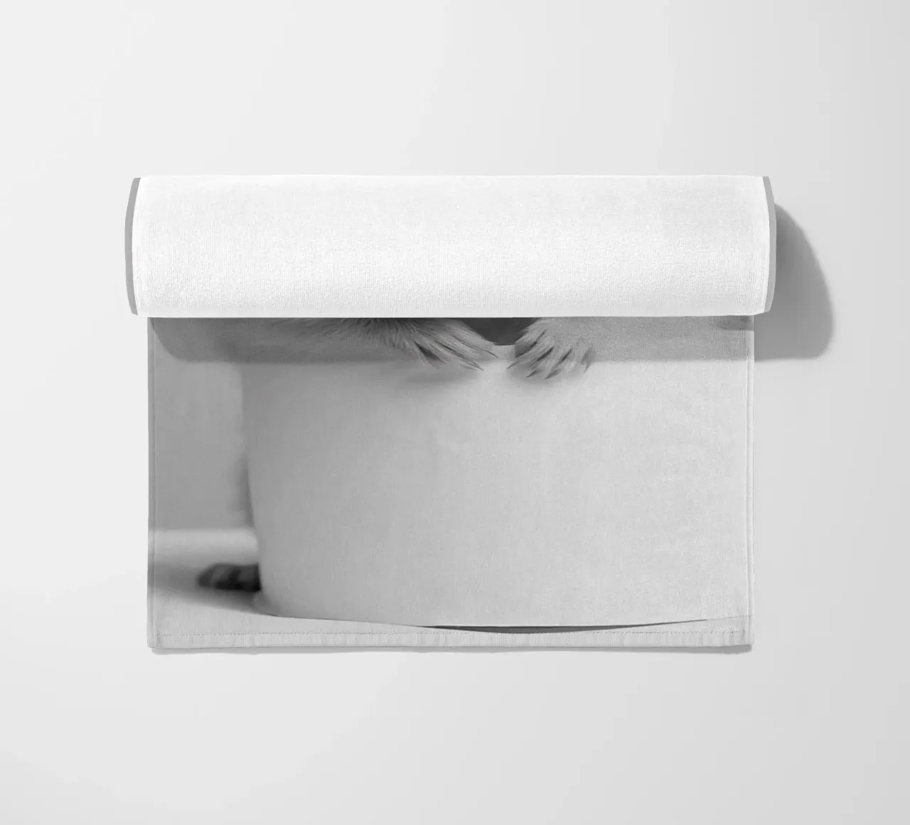 Criceto telo mare da animals_studio