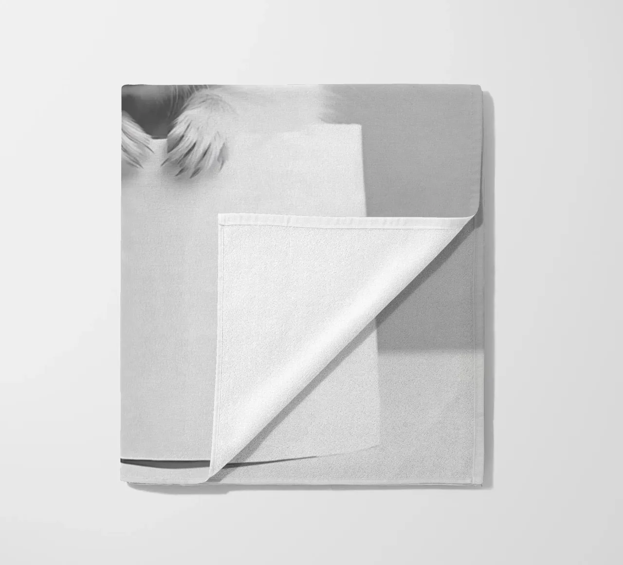 Criceto telo mare da animals_studio