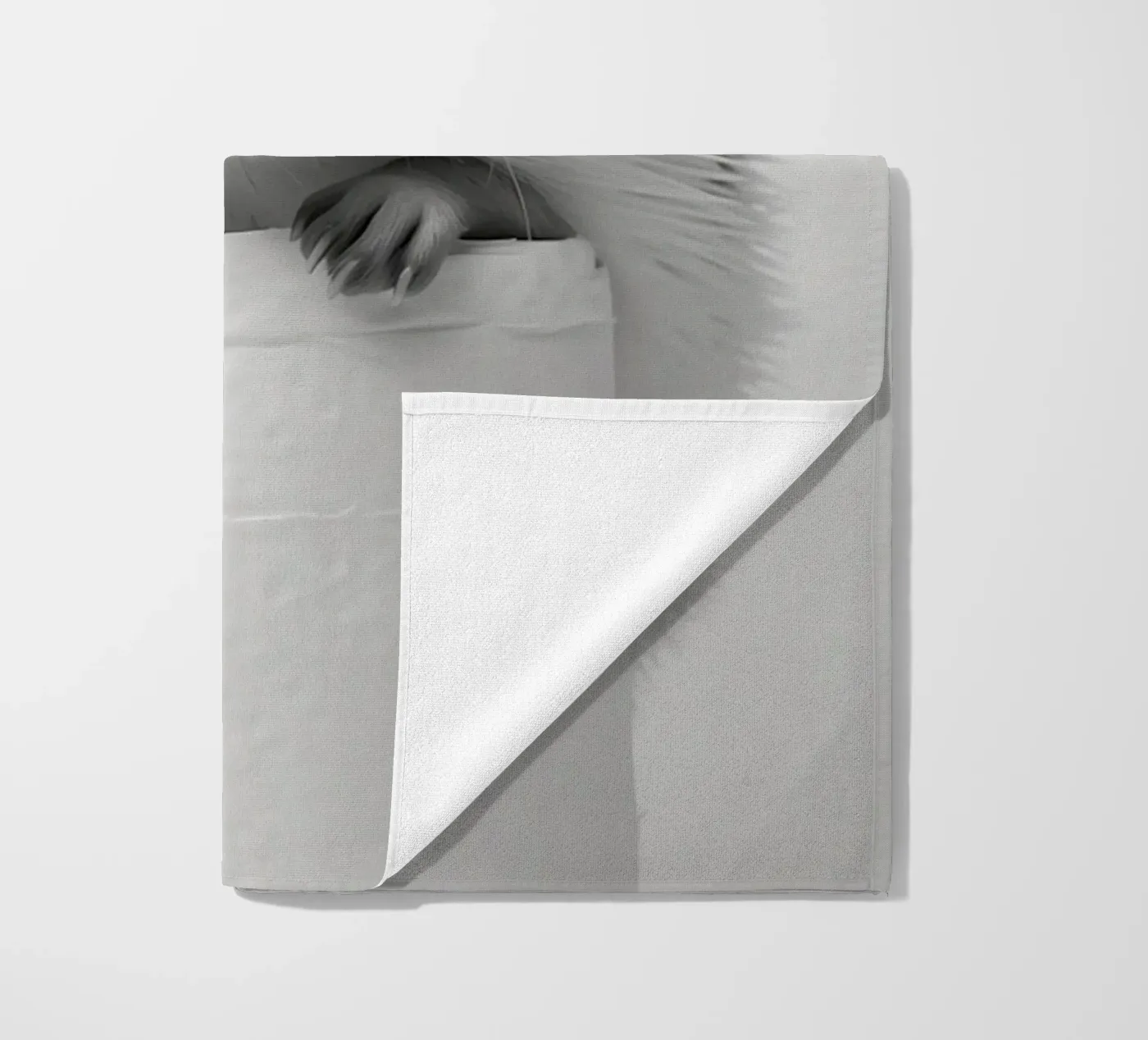 Riccio telo mare da animals_studio
