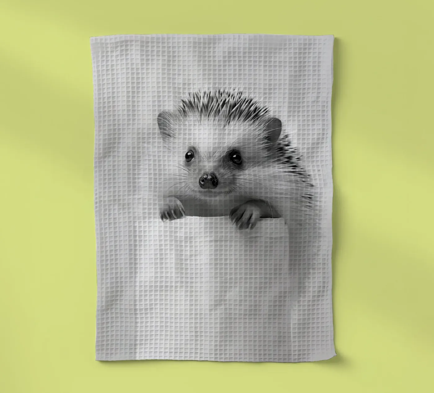 Hérisson torchon de animals_studio