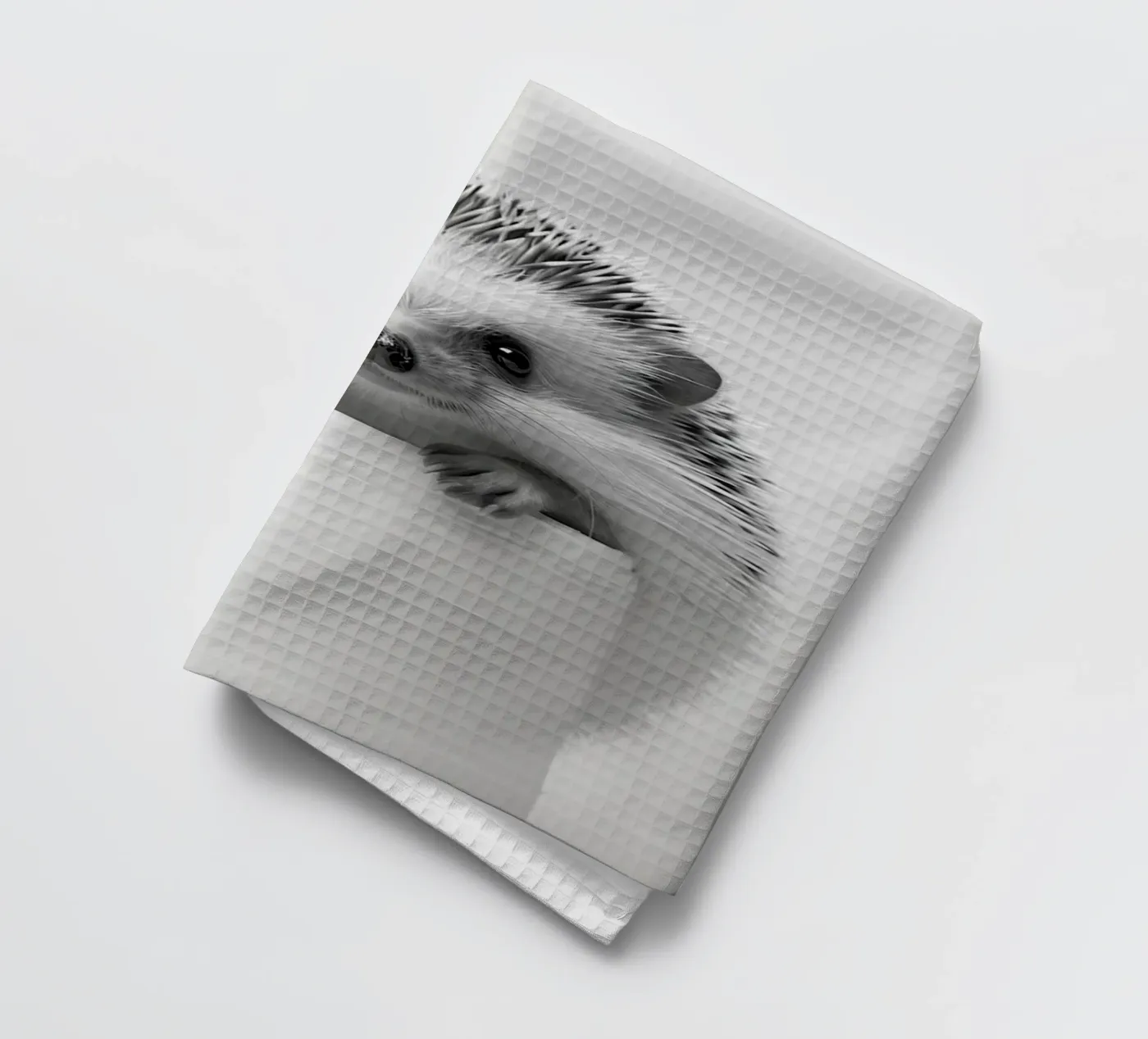 Hérisson torchon de animals_studio