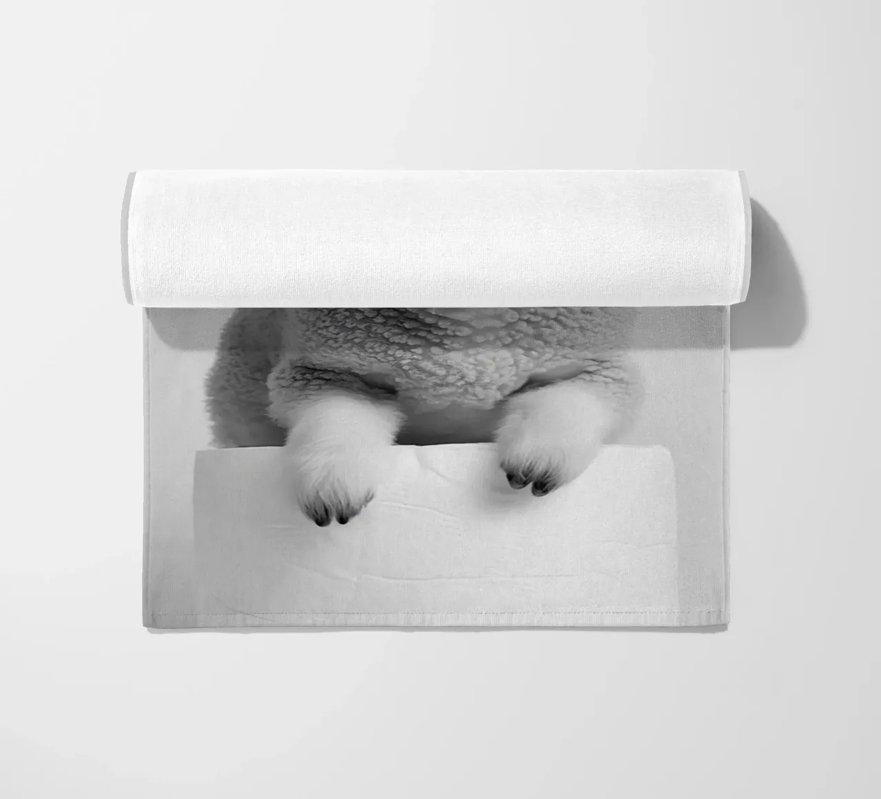 Agnello telo mare da animals_studio