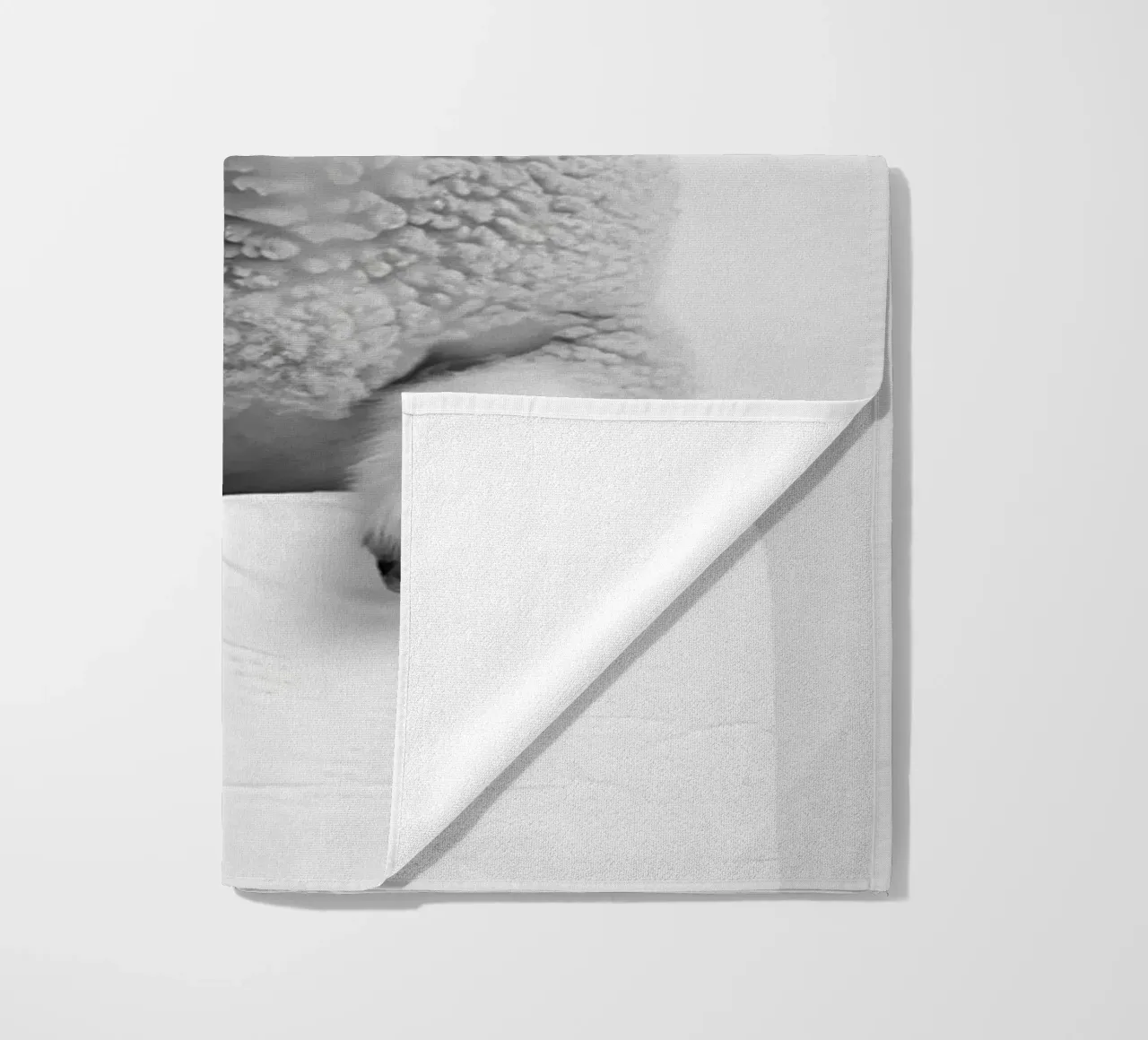 Lamb telo mare da animals_studio