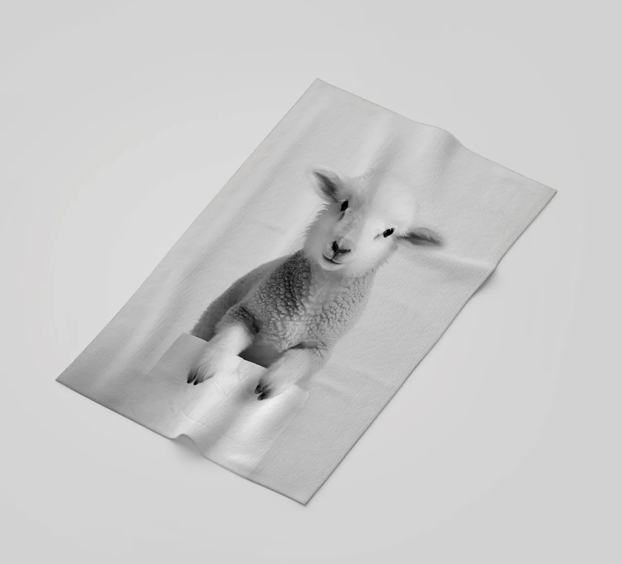 Agnello telo mare da animals_studio