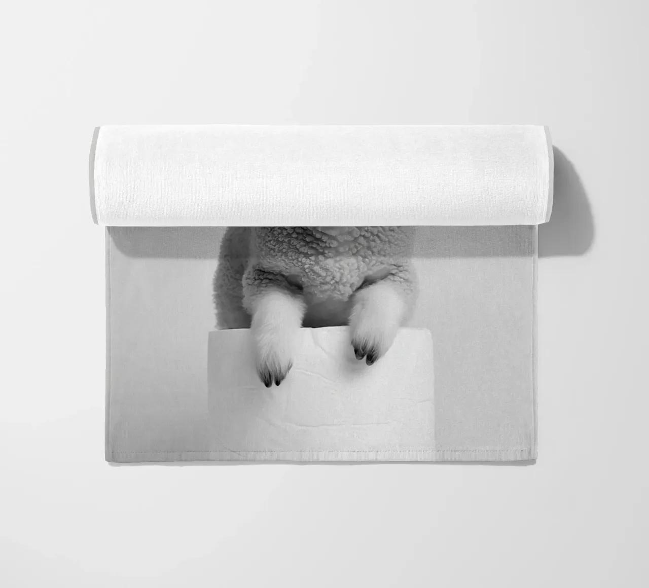 Lamb telo mare da animals_studio