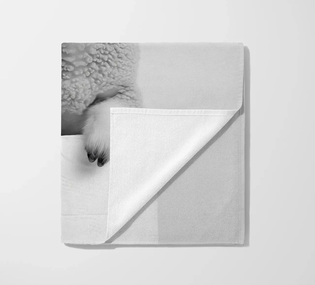 Agnello telo mare da animals_studio