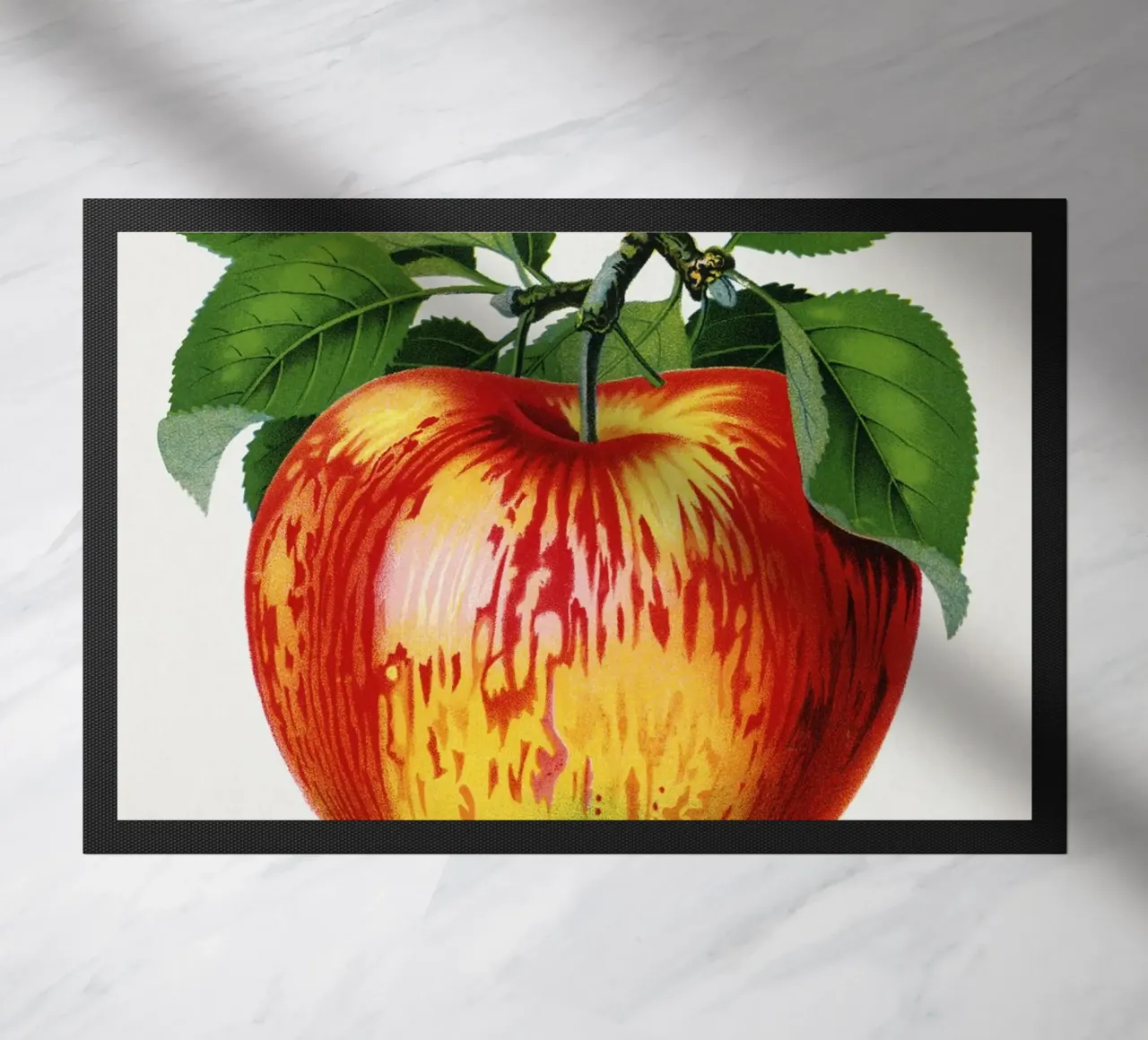 Wolf River apple zerbino da vintageshop