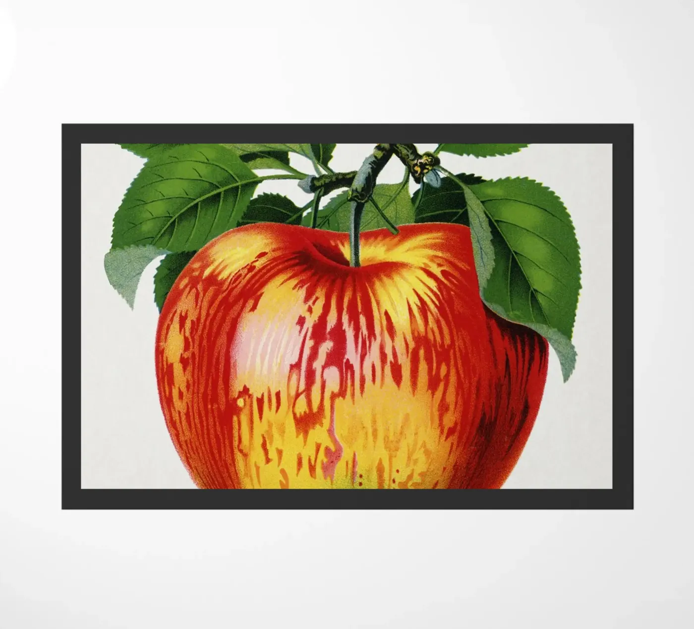 Wolf River apple doormat by vintageshop