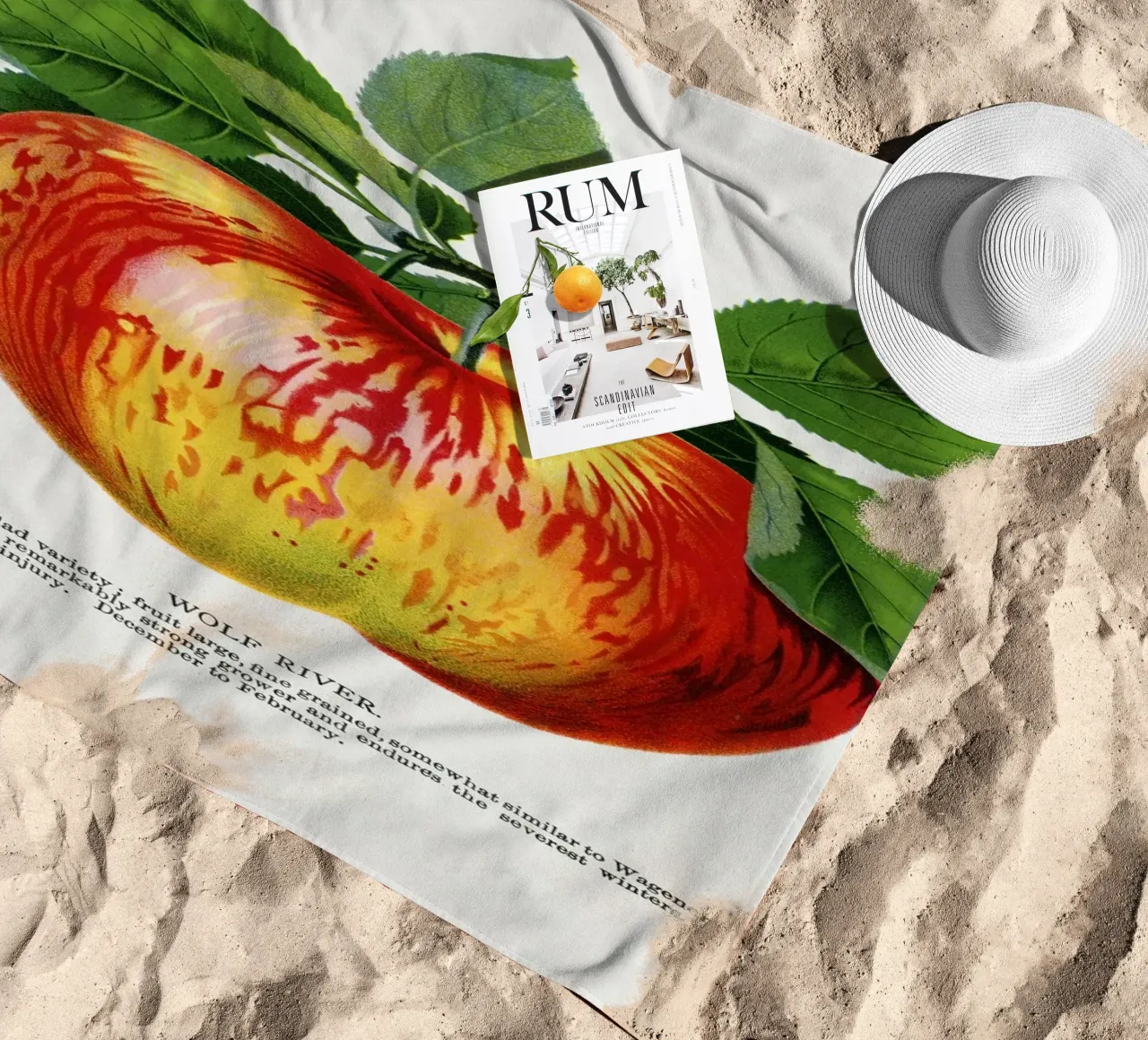 Wolf River apple telo mare da vintageshop