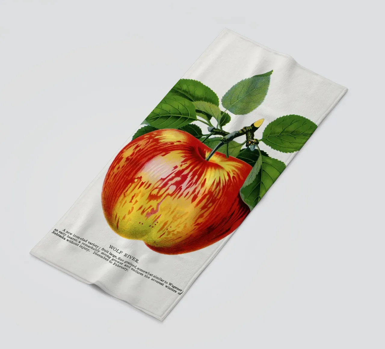 Wolf River apple telo mare da vintageshop