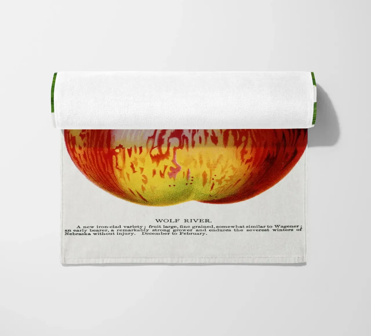 Wolf River apple telo mare da vintageshop