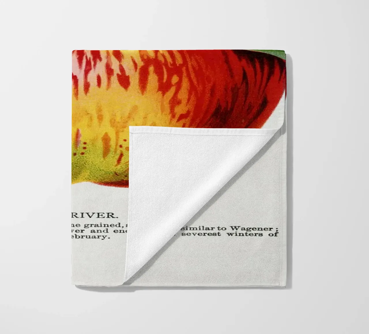 Wolf River apple telo mare da vintageshop