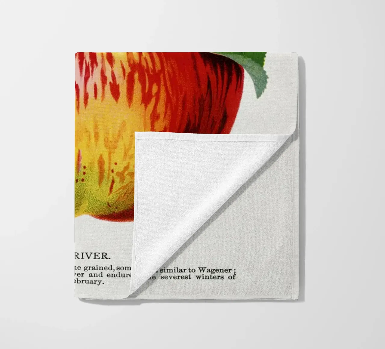 Wolf River apple telo mare da vintageshop