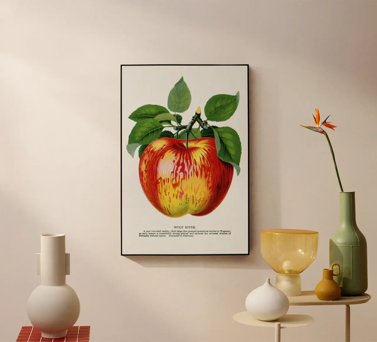 Wolf River apple plexiglass da vintageshop