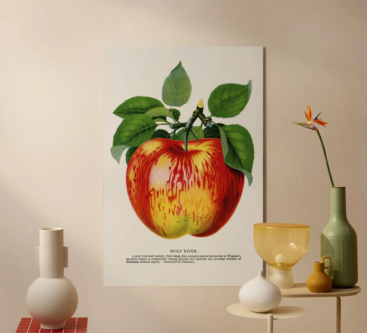 Wolf River apple plexiglass da vintageshop