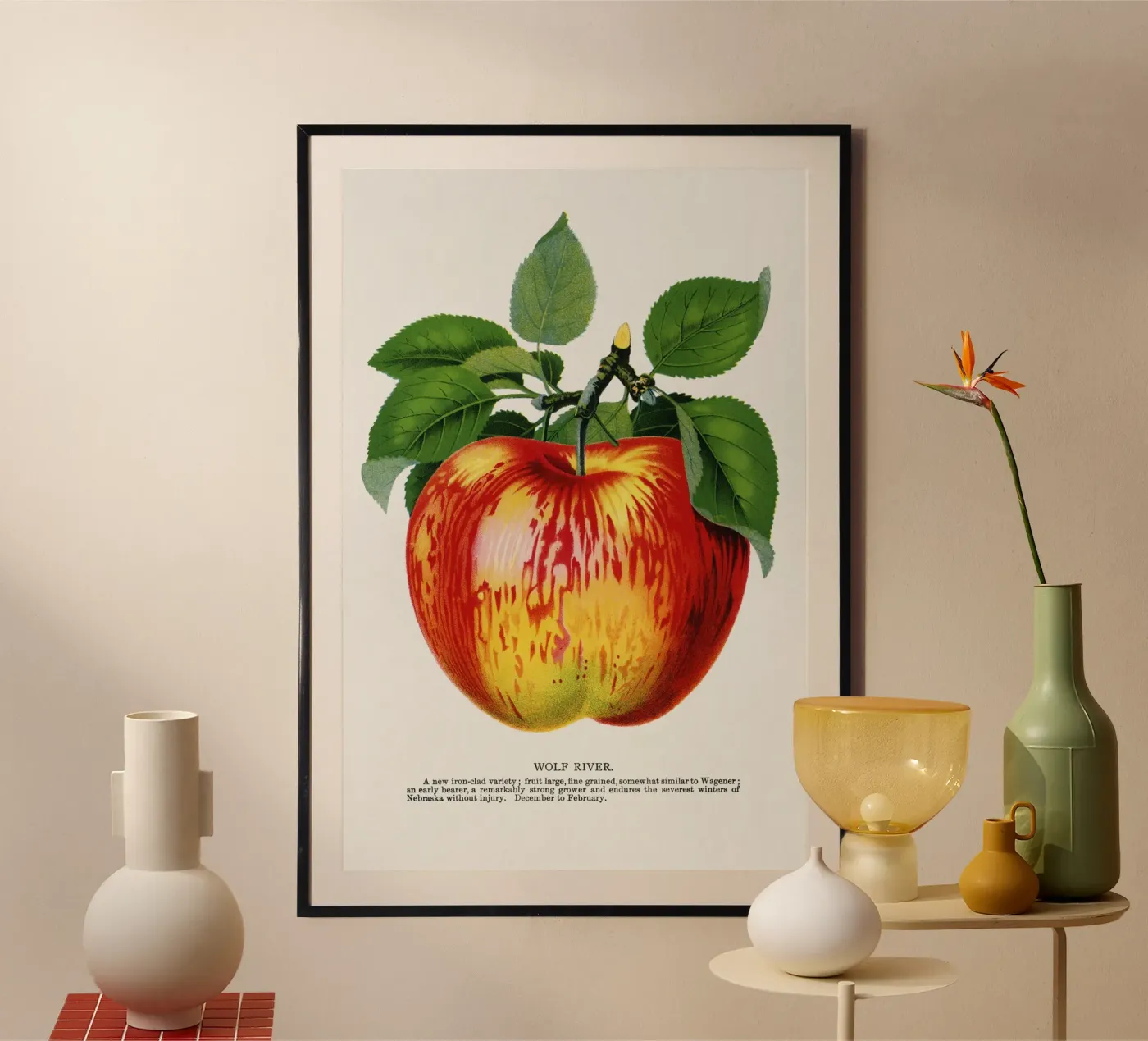 Wolf River apple poster by vintageshop