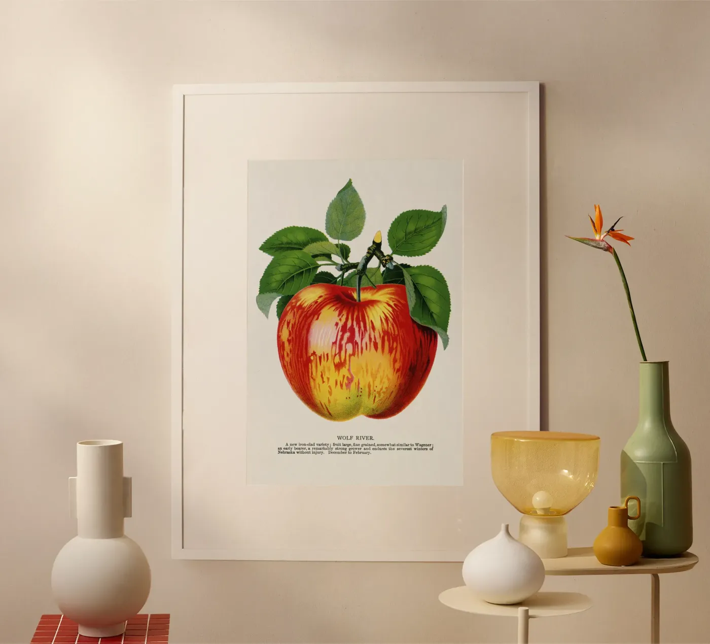 Wolf River apple poster by vintageshop
