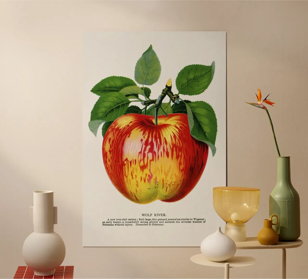Wolf River apple poster by vintageshop