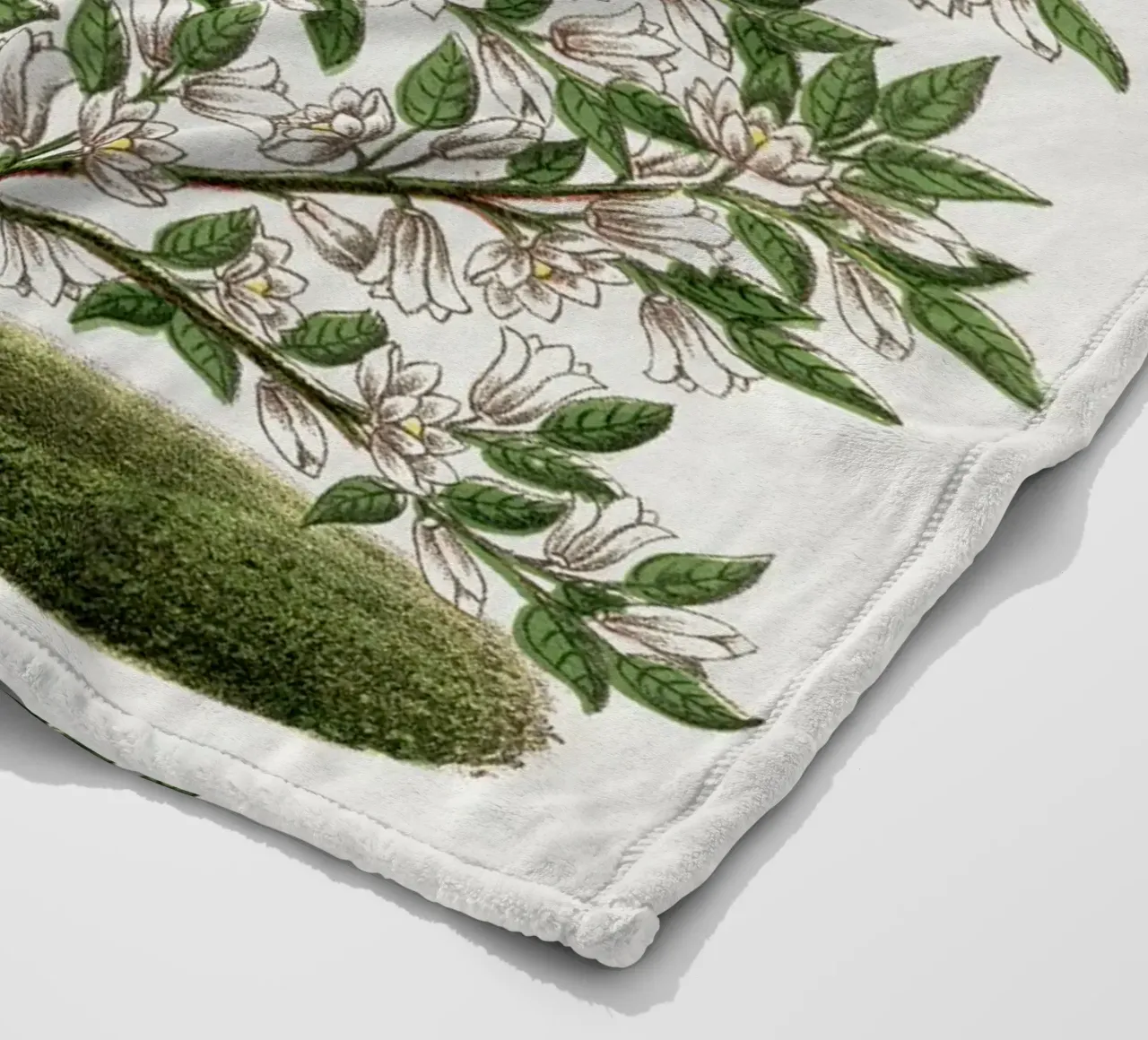 Hardy Magnolia tree coperta in pile da vintageshop