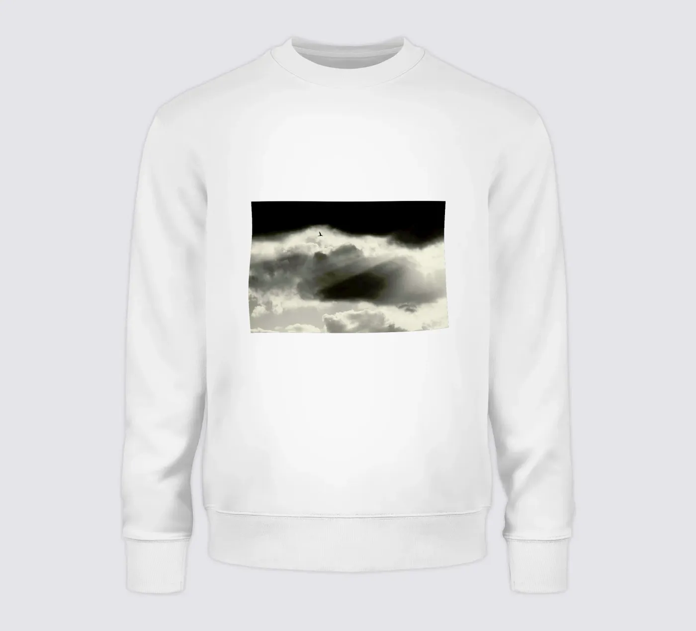 Two sweatshirt van Tal Paz-Fridman