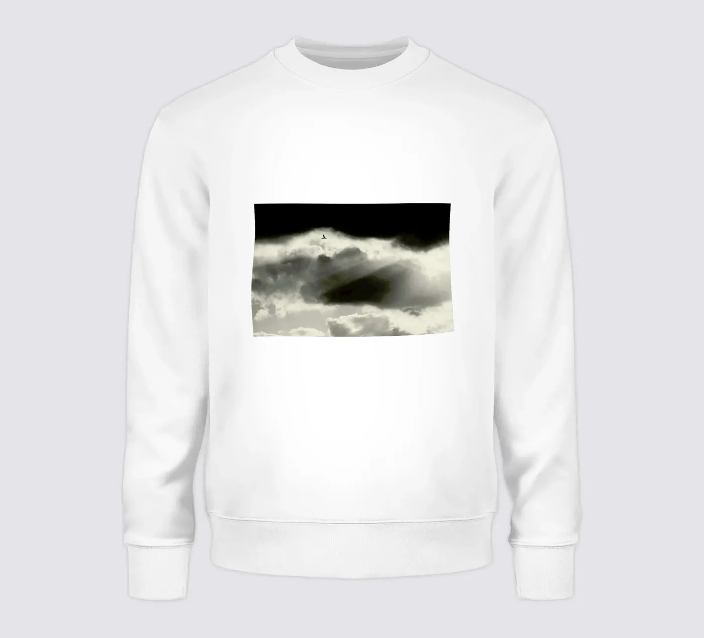 Two sweatshirt van Tal Paz-Fridman