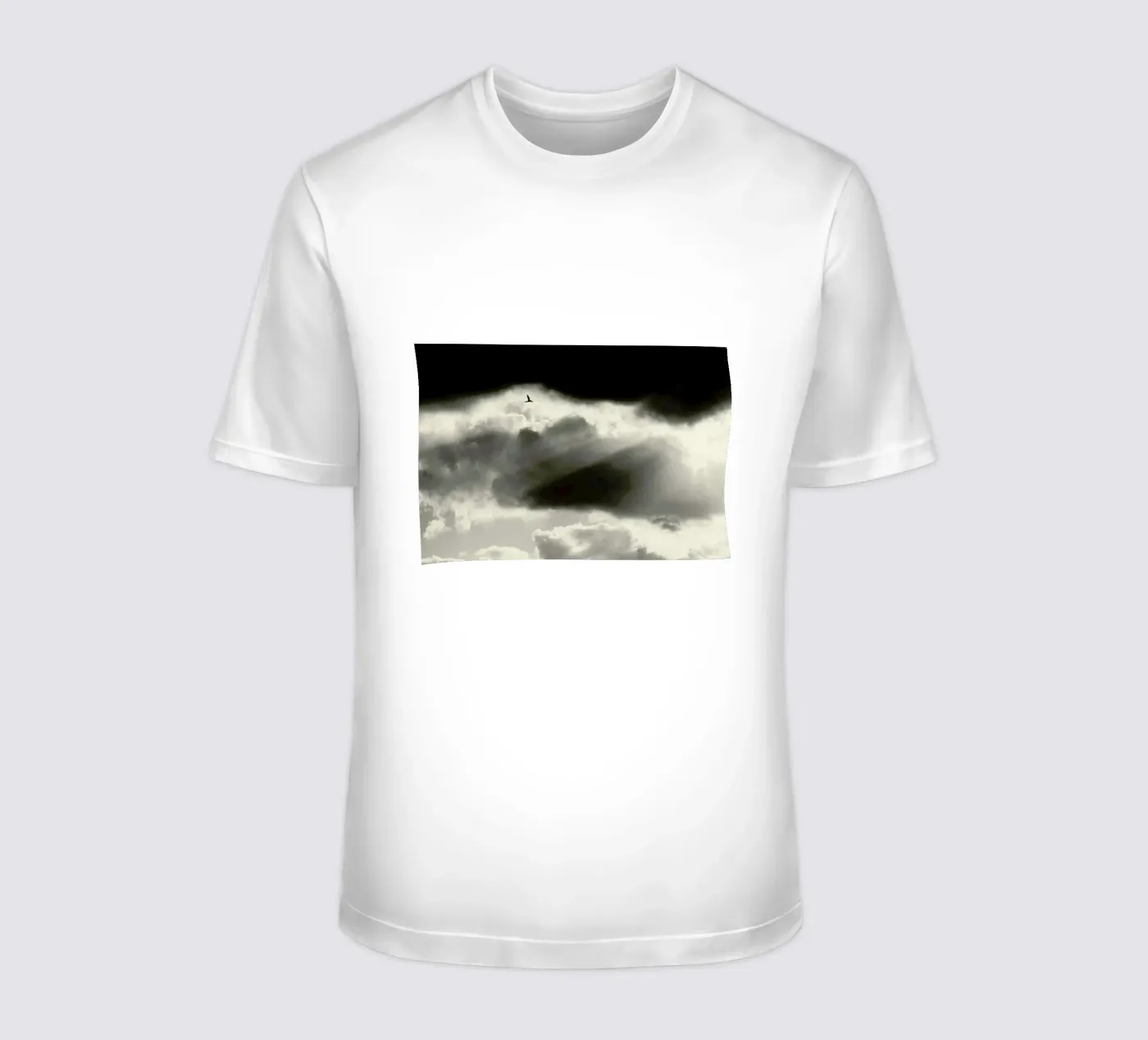 Two t-shirt da Tal Paz-Fridman