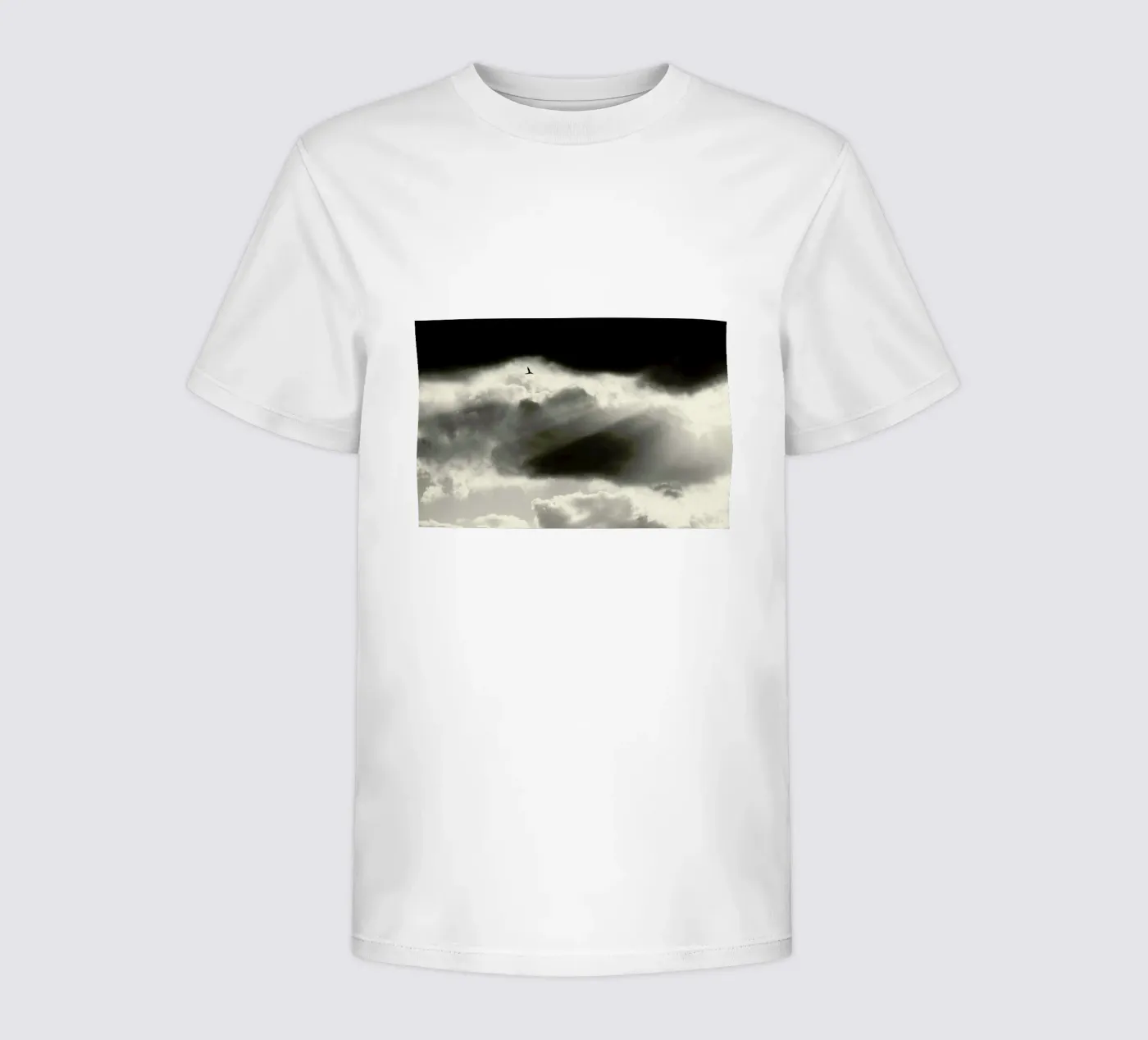Two t-shirt bambini da Tal Paz-Fridman