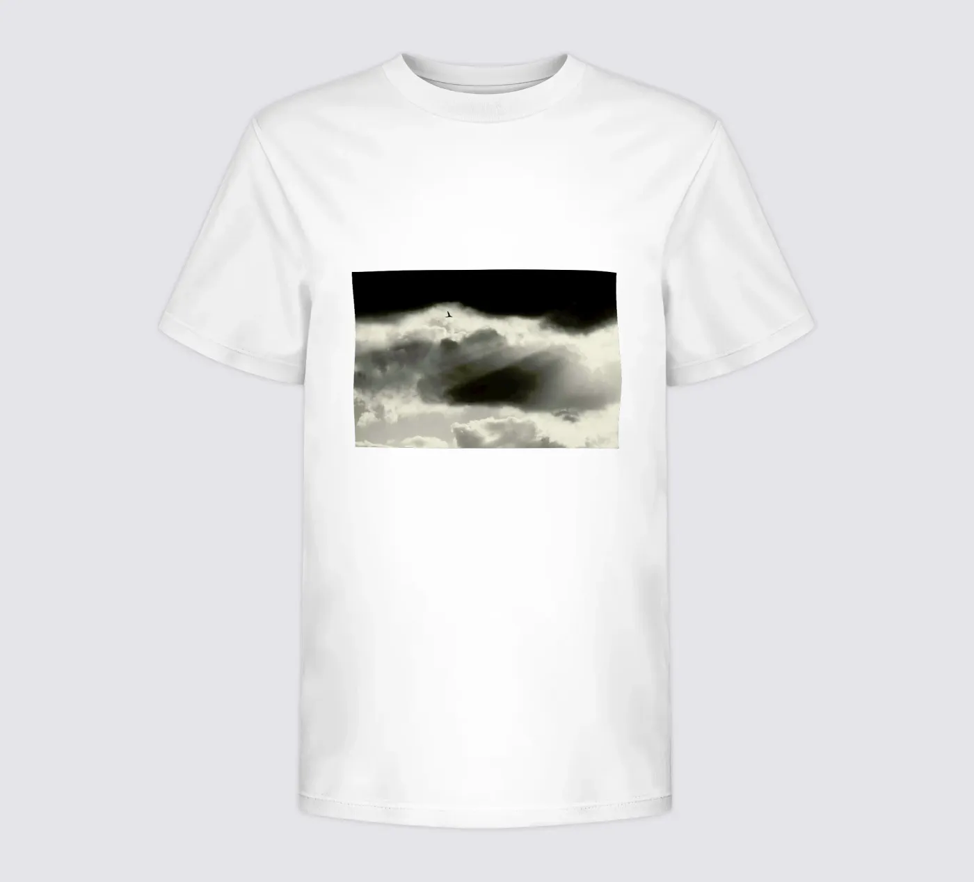 Two t-shirt bambini da Tal Paz-Fridman