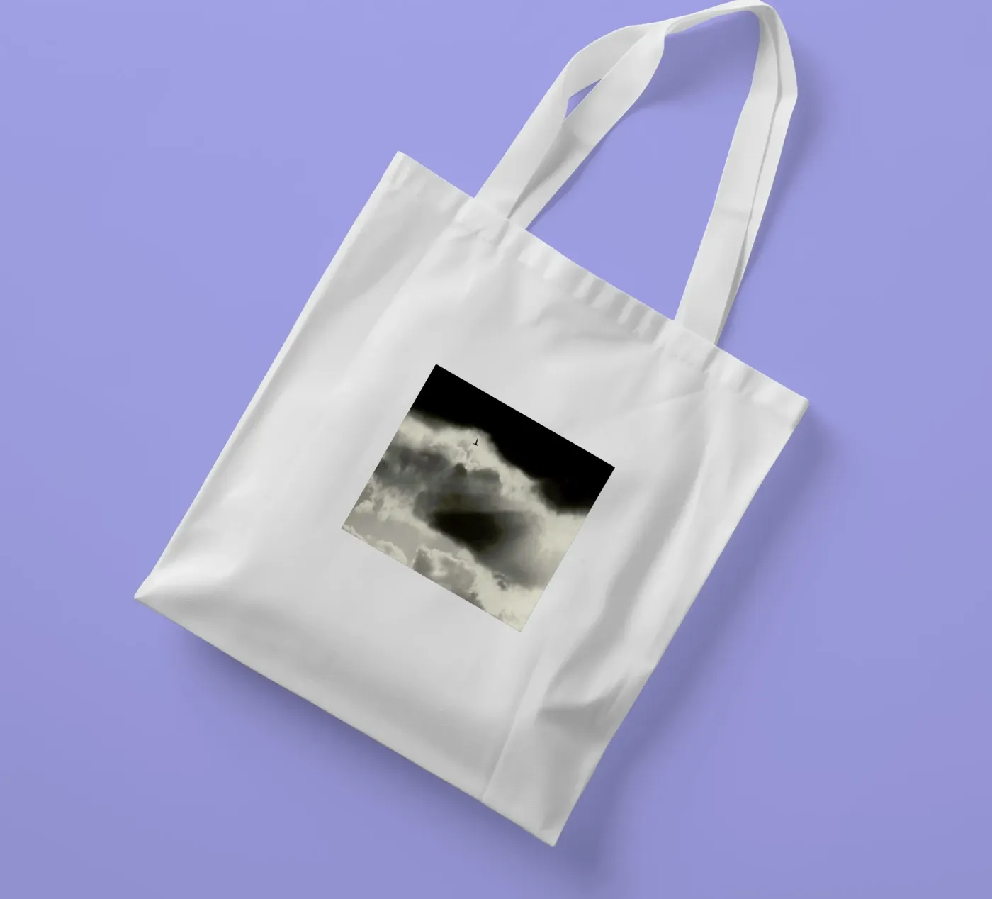 Two tote bag by Tal Paz-Fridman