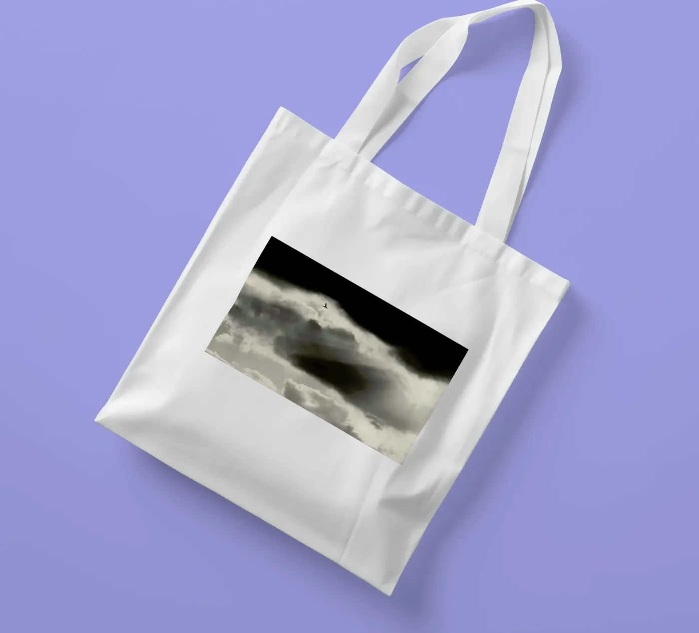 Two tote bag by Tal Paz-Fridman