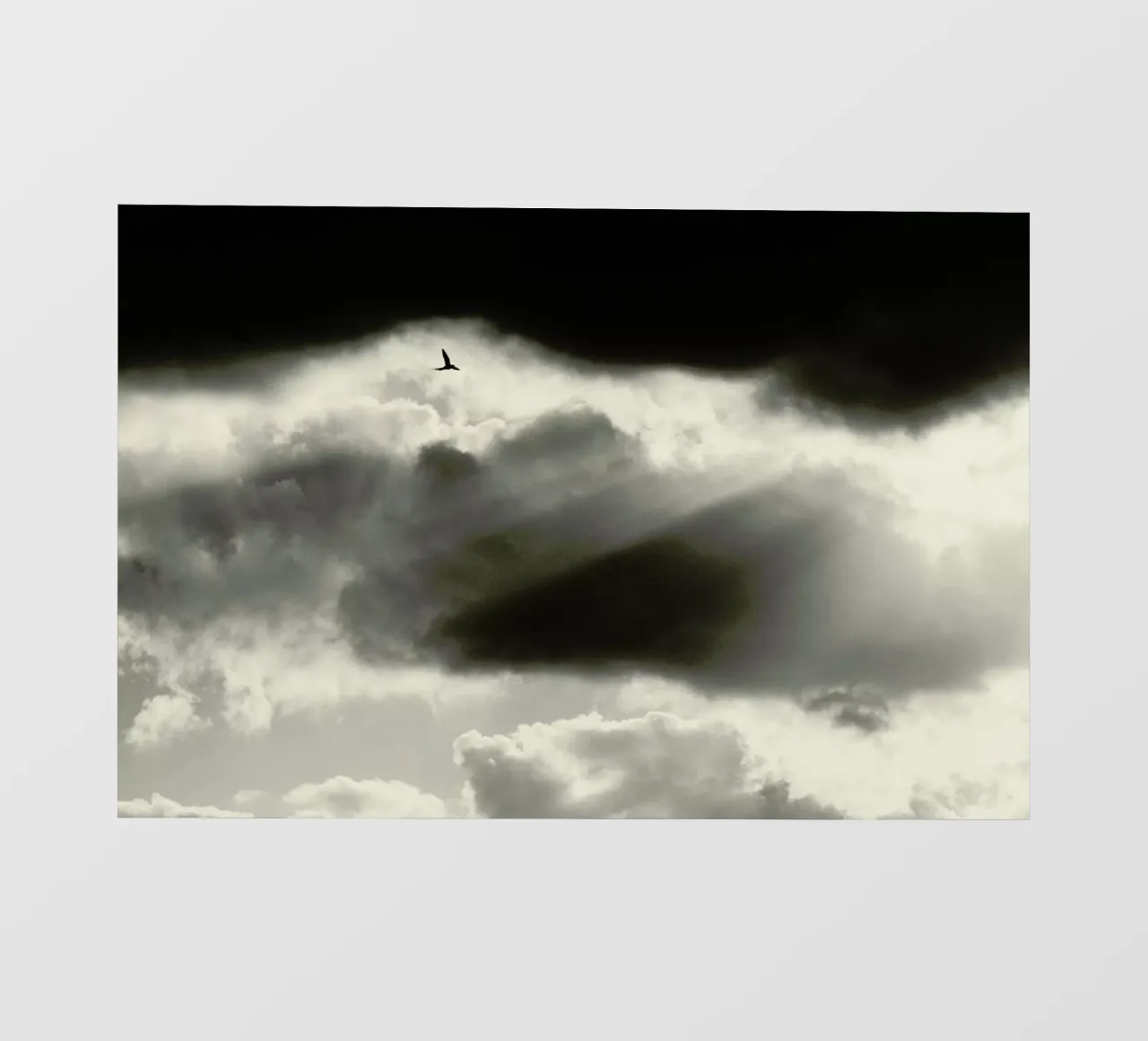 Two pellicola backlit da Tal Paz-Fridman