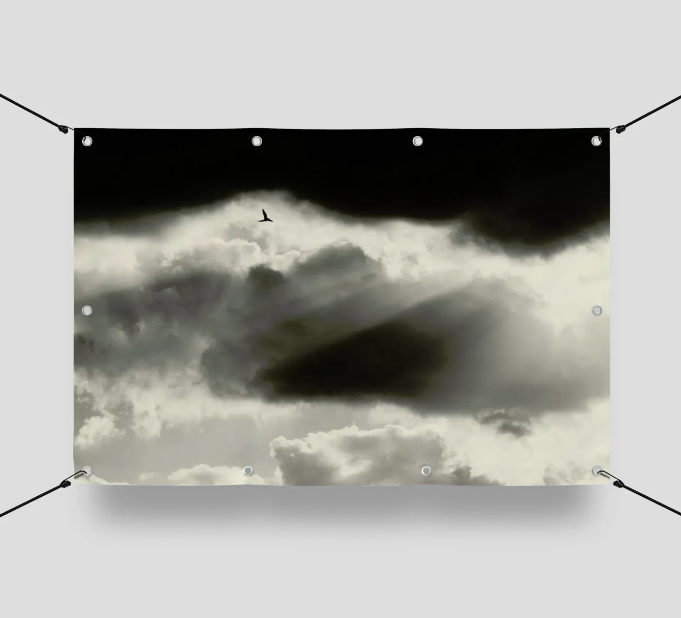 Two PVC Plane von Tal Paz-Fridman