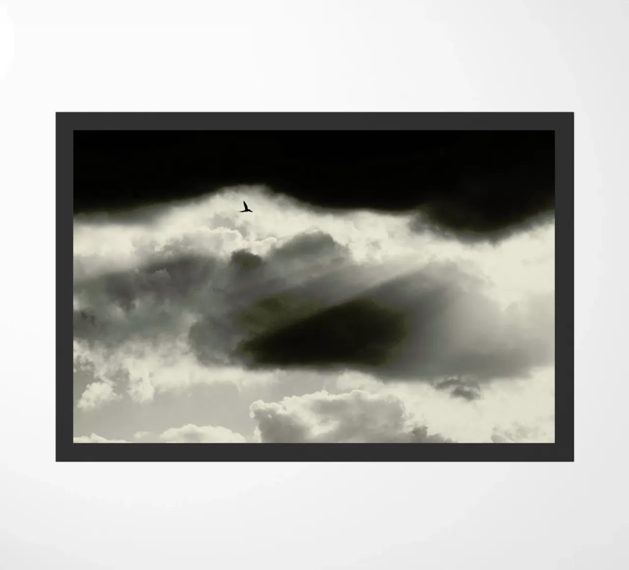 Two deurmat van Tal Paz-Fridman