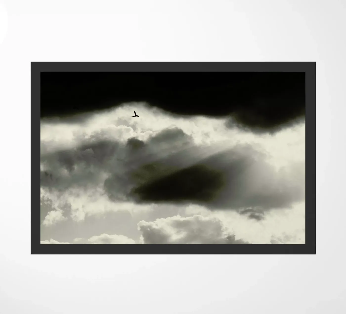 Two deurmat van Tal Paz-Fridman