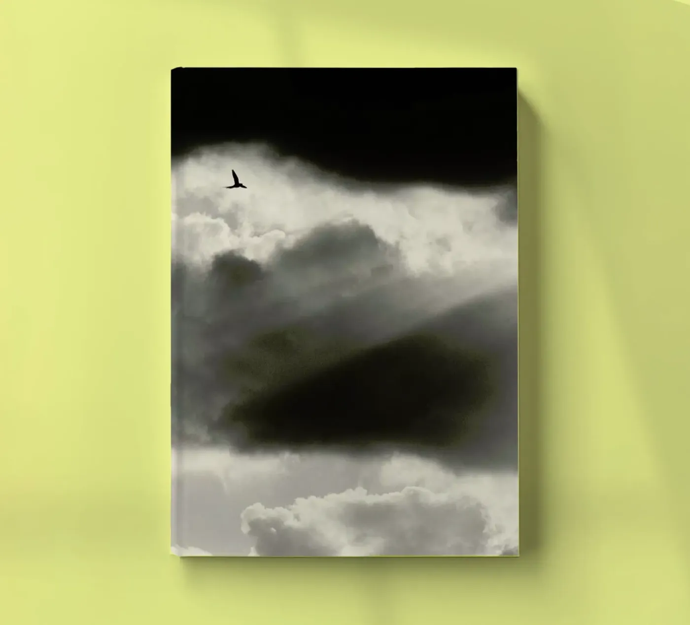 Two notebook by Tal Paz-Fridman