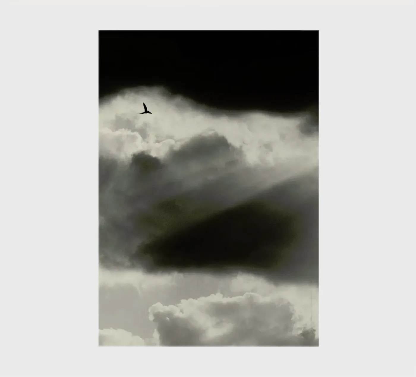 Two notebook by Tal Paz-Fridman