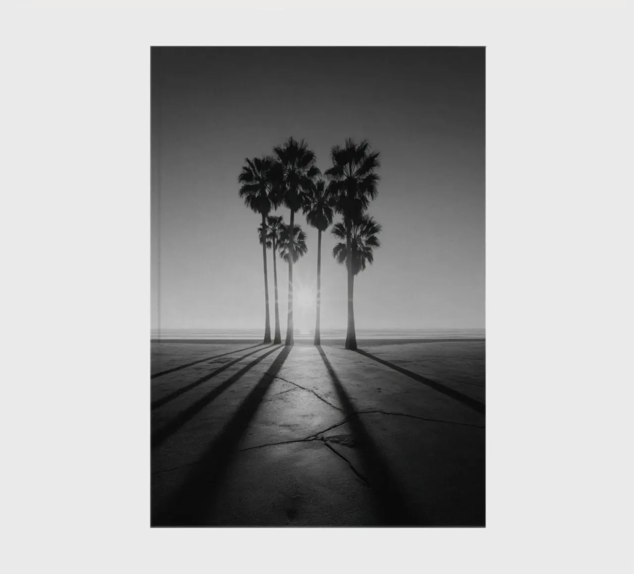 Black and White Sunset Palm Trees on Beach notebook by Indigo Tides Art