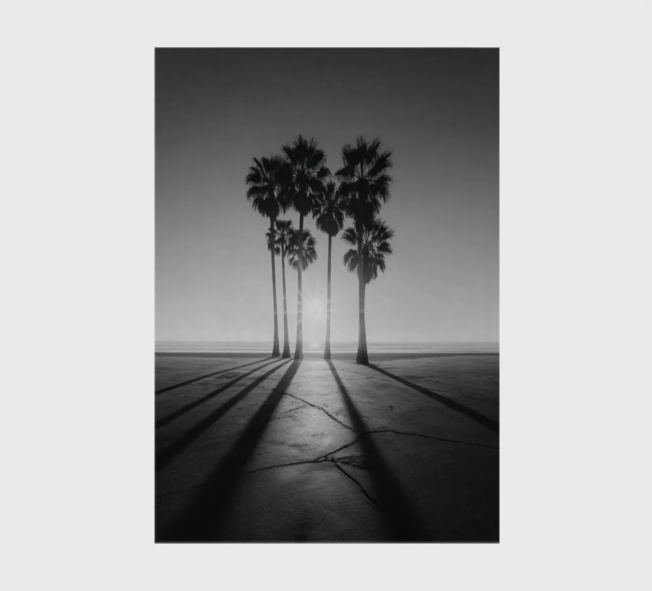 Black and White Sunset Palm Trees on Beach notebook by Indigo Tides Art