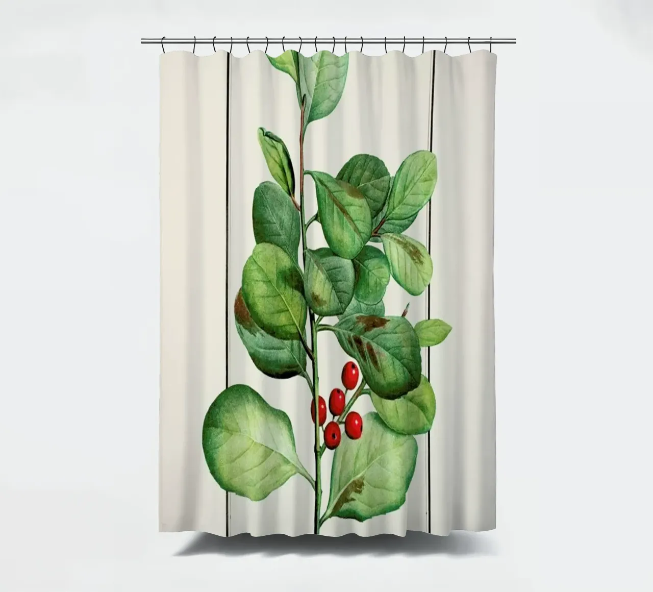 Pierre-Joseph Redouté - Lingonberries tenda da doccia da Vintage by JUNIQE