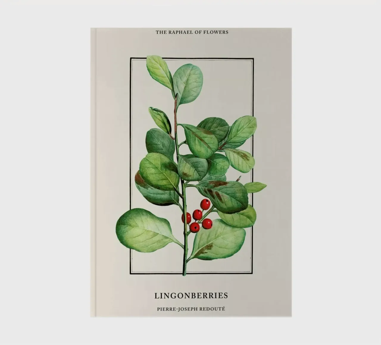 Pierre-Joseph Redouté - Lingonberries carnet de notes de Vintage by JUNIQE