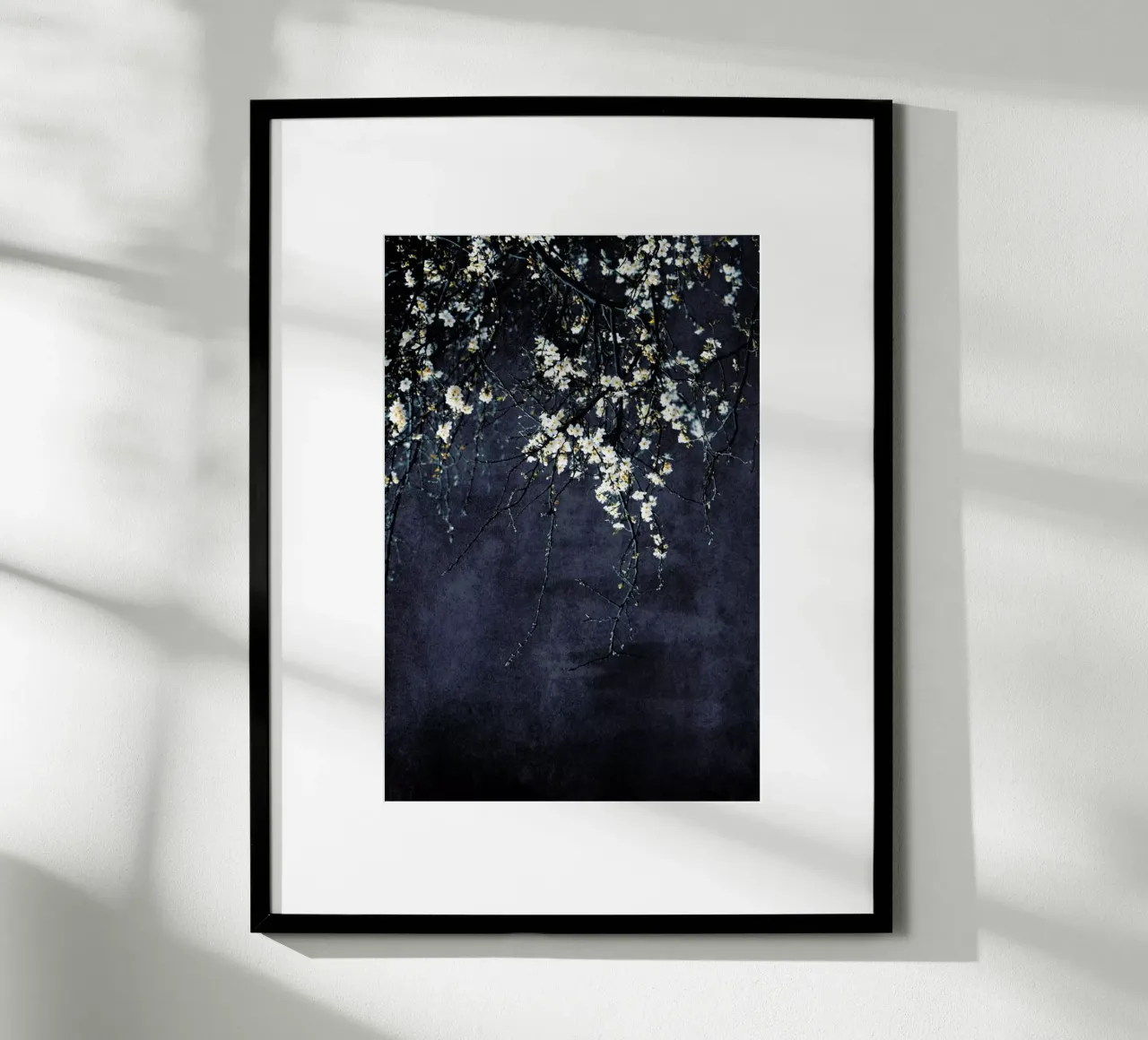Fiori - Fiori di ciliegio carta hahnemühle da Ingrid Beddoes