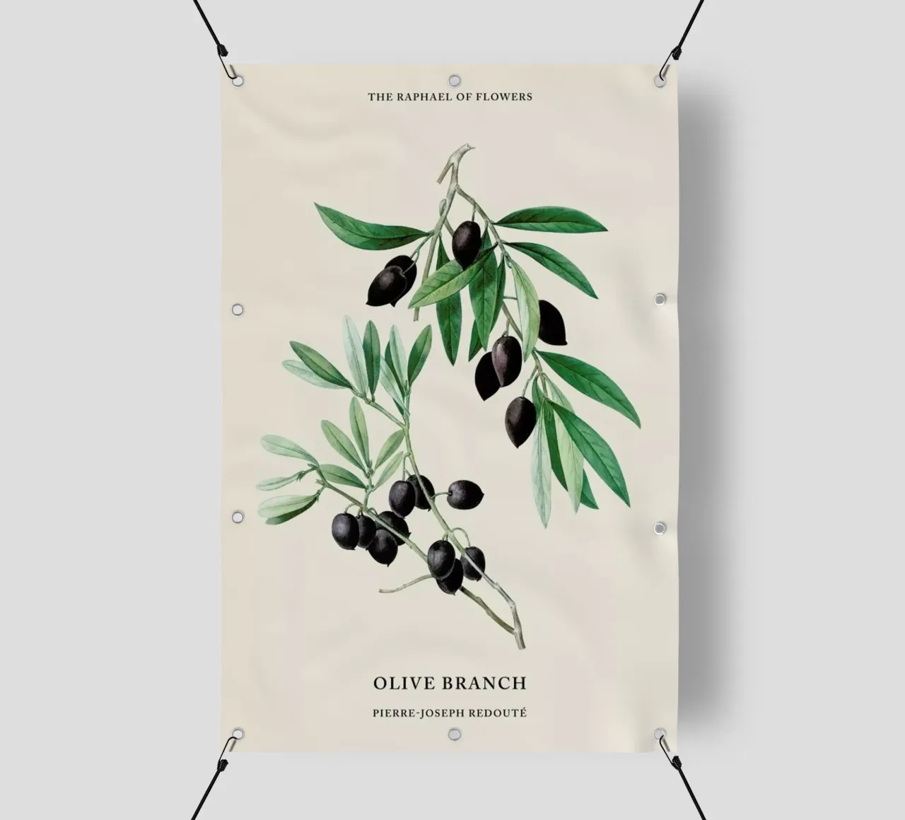 Pierre-Joseph Redouté - Olive Branch telo in pvc da Vintage by JUNIQE