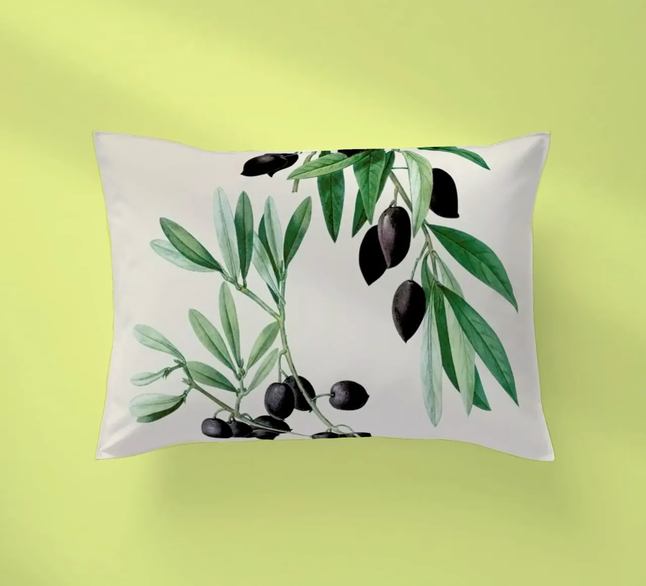 Pierre-Joseph Redouté - Olive Branch cuscino da Vintage by JUNIQE