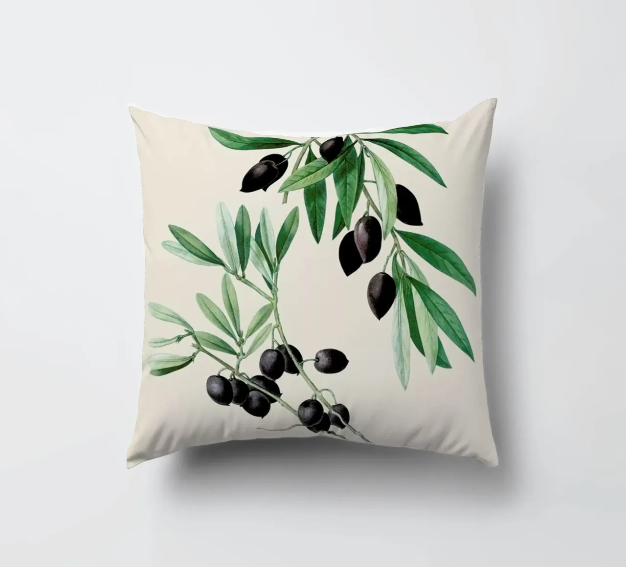 Pierre-Joseph Redouté - Olive Branch cuscino da Vintage by JUNIQE