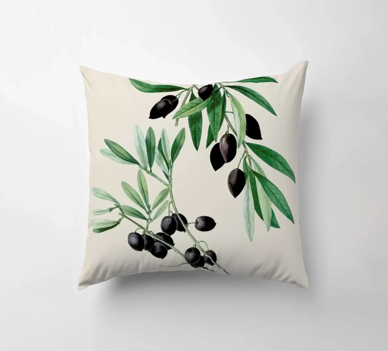 Pierre-Joseph Redouté - Olive Branch cuscino da Vintage by JUNIQE