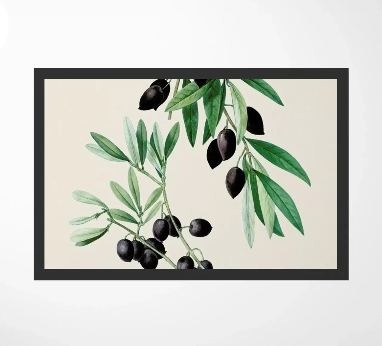 Pierre-Joseph Redouté - Olive Branch zerbino da Vintage by JUNIQE